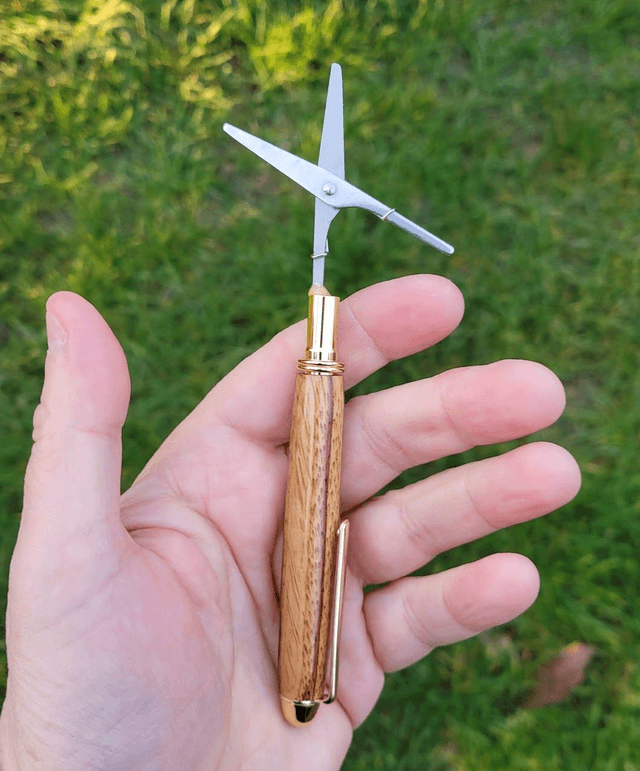 Mini Ciseau doré en zebrano